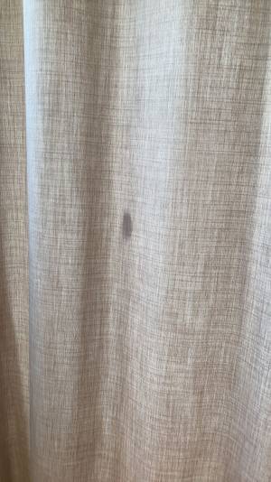 絶対にゴキブリでしょ！？　しかし正体は…「笑ってすみません」「完全なトラップ」