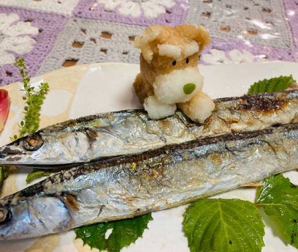 「食べにくいんですけど…」　サンマの塩焼きを見張っているのが？