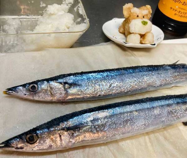 「食べにくいんですけど…」　サンマの塩焼きを見張っているのが？