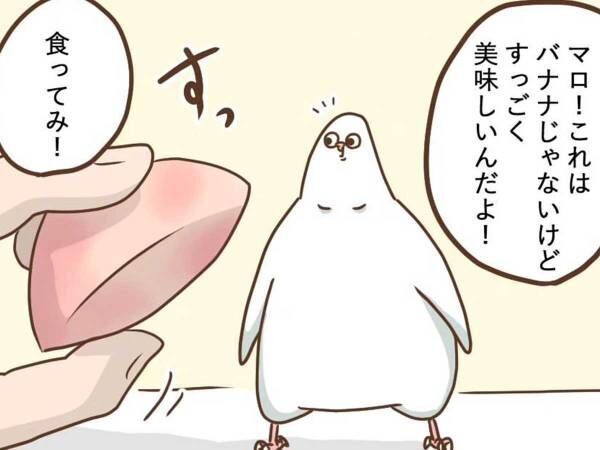 飼い主「ひと口だけでいいから！」　果物を食べたインコに「わかりやすっ」