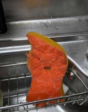 使い込んだスポンジに、２３万いいね！　「鬼の形相」「めっちゃ笑った」