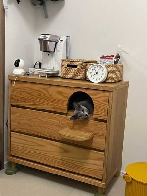 「ニャニャって呼ばれた」　猫がいた意外な場所に「なんだこれ！？」