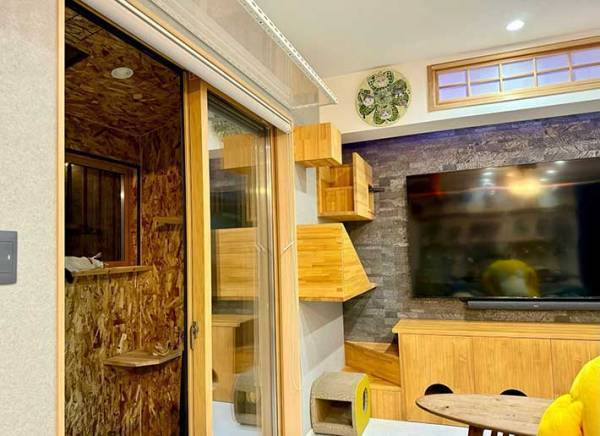 １匹だけではありません　猫が隠れてる写真に「見事に擬態してる」