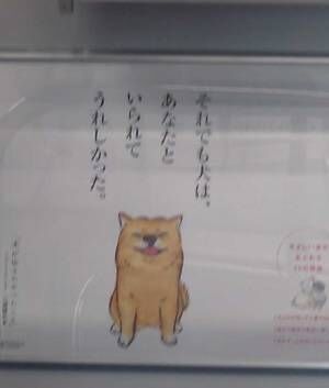 『犬が伝えたかったこと』の広告の画像