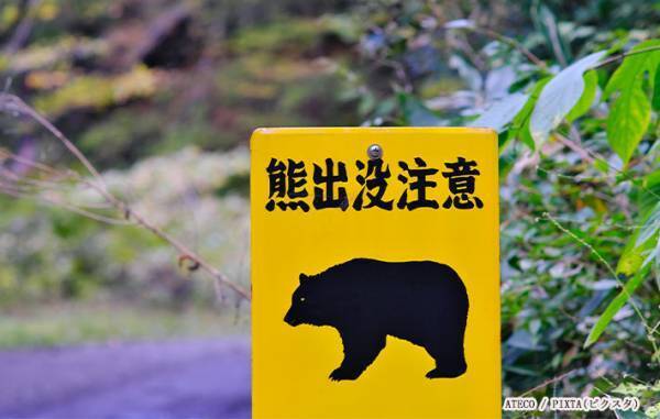 クマに出会ってしまった…　環境省が教える『ＮＧ行動』とは？