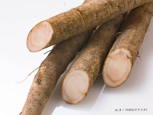 切ったらピンクのゴボウ　農家に聞いた原因に「知らなかった」