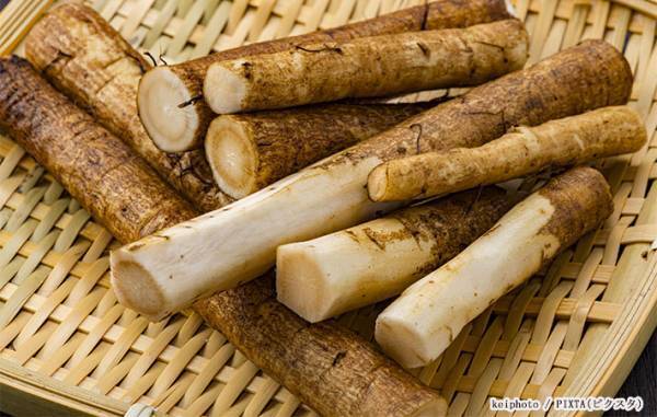 むくのが面倒なゴボウの皮　農家さんに聞いてみると、意外な答えが