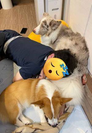 夫を囲んで？　リビングの光景に「最高かよ」「ウチにも来て」