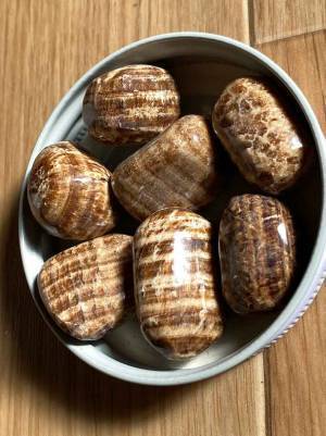 サトイモみたい…　二度見する１枚に「笑った」「煮っころがし作りたい」