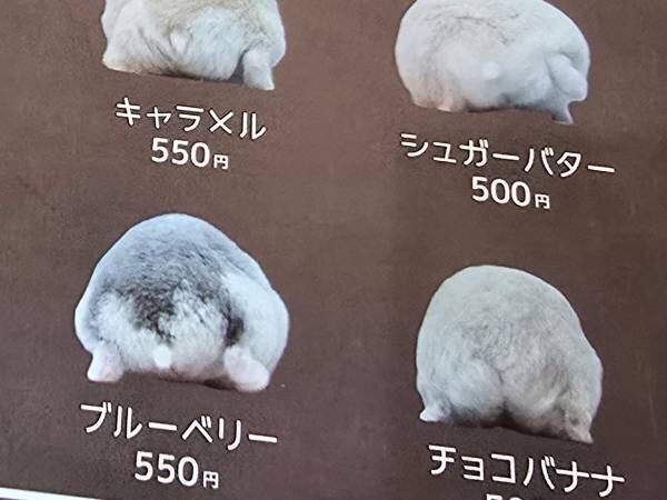 飼い主が作った『メニュー表』　写る存在に「たまらん」「最高すぎ」