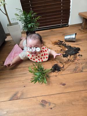 人生初の『いたずら』をして？　０歳娘の反応に「大物になるかも」