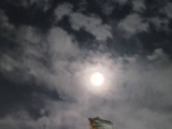 「リアルでやる人を初めて見た」　月と一緒に写るのは…？