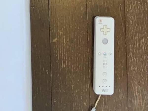 クッションを買った男性　トリックアートのような写真に「デカすぎて笑った」「抱き枕にしたい」