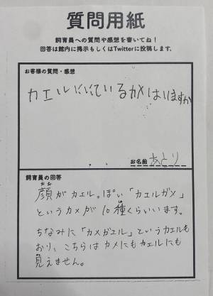 「カエルに似ているカメはいる？」　飼育員の答えに「後半で笑った」「有益な情報」