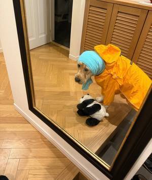 仕事帰りの妻、夫から送られてきた１枚に「笑い堪えるの辛すぎた」