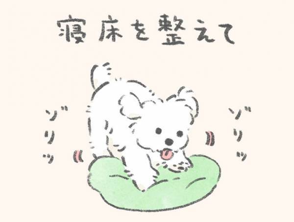 「そこで寝えへんのかい！」　『犬あるある』に爆笑！