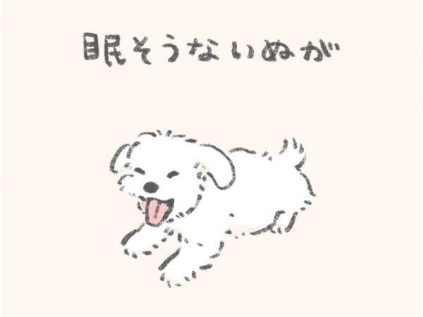 「そこで寝えへんのかい！」　『犬あるある』に爆笑！