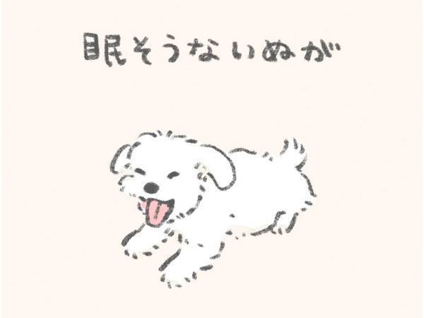 「そこで寝えへんのかい！」　『犬あるある』に爆笑！