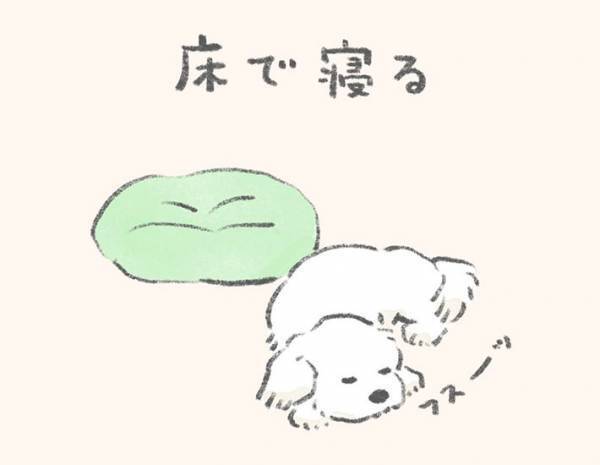 「そこで寝えへんのかい！」　『犬あるある』に爆笑！