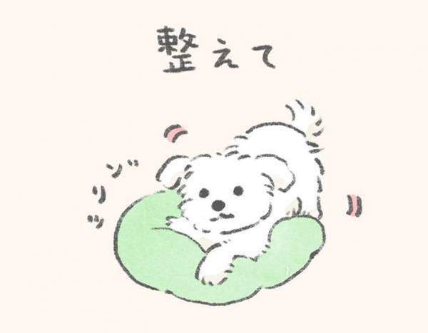 「そこで寝えへんのかい！」　『犬あるある』に爆笑！