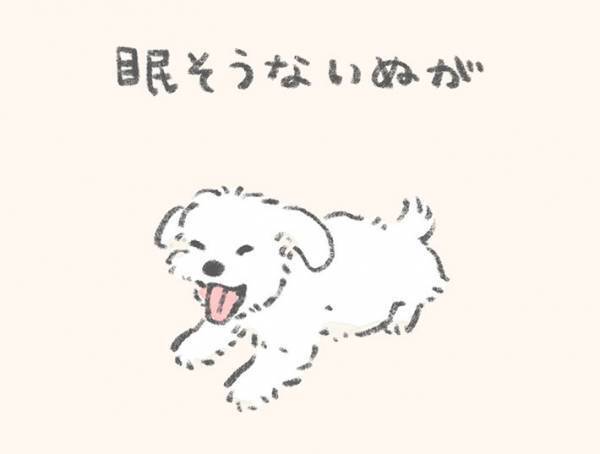「そこで寝えへんのかい！」　『犬あるある』に爆笑！