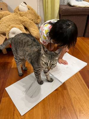 飼い主「猫から怒られてしまいました…」　娘と遊ぶ様子を撮影したら？