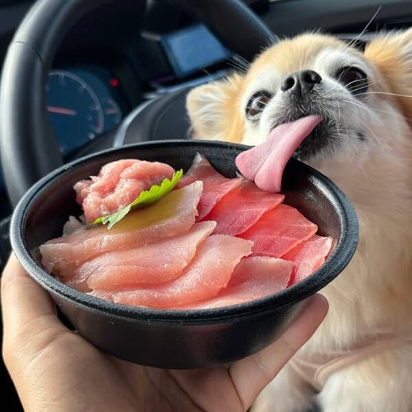 マグロ丼の写真