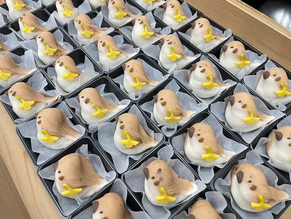 色鮮やかな練り切り、よく見ると？　１枚に「天国かな？」「は、はわわわ…」