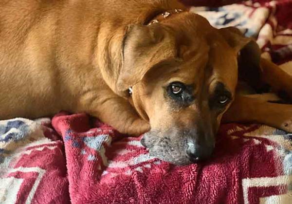 誘惑するのは？　１枚の表情に「たまんね～」「ノーなんていえない」