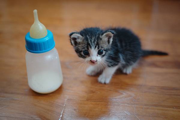 下校中の息子が、道端で…　出来事に「漫画のような展開」「素敵です」