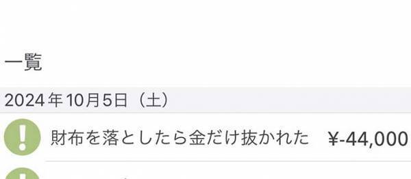 「こんなに悲しい文字があるのか…」　財布を落としたボカロP　家計簿に？