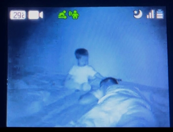 カメラは捉えた！　深夜、家族を見下ろす息子が…　奇行の一部始終に「予想を超えた」「そっちかい」