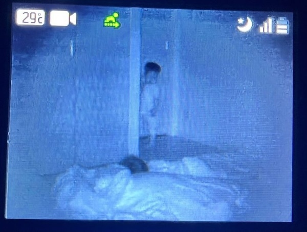 カメラは捉えた！　深夜、家族を見下ろす息子が…　奇行の一部始終に「予想を超えた」「そっちかい」