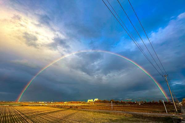 山形県で出会ったのは？　幻想的な１枚に「まるで結界」「拍手を送りたい」