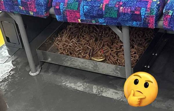 バスで息子が「焼きそばがあるよ」　１万人が納得した写真に「吹いた」「本当だ」