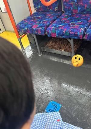 バスで息子が「焼きそばがあるよ」　１万人が納得した写真に「吹いた」「本当だ」