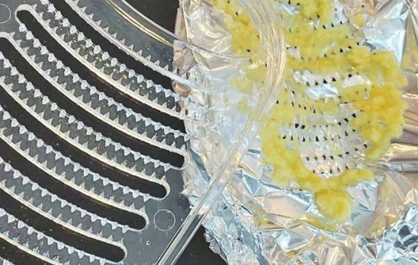 アルミホイルを被せると…？　試した結果に「１本も詰まってない」