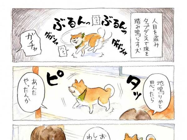 １匹ではしゃいでいた柴犬　人の気配を感じると？　「見てはならない」「笑った」