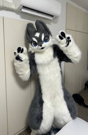 猫を肩に乗せた高校生　社会人になったら…「どうしてこうなった」