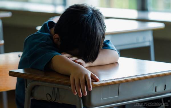 猫を肩に乗せた高校生　社会人になったら…「どうしてこうなった」