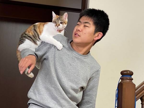 猫を肩に乗せた高校生　社会人になったら…「どうしてこうなった」