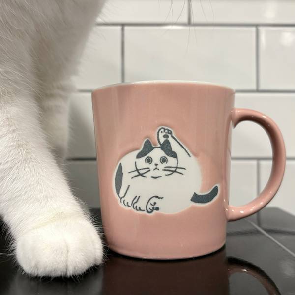 飼い主「モデルになったのかな？」　愛猫とそっくりなマグカップが？