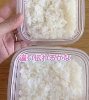 ２つの冷凍ご飯を並べた様子