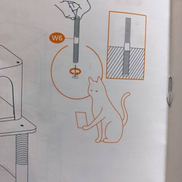 説明書で見つけた『猫』のイラスト　次のページをめくると？　「笑った」「仕方ない」