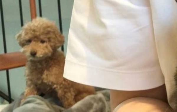 飼い主から『お仕置き』されている愛猫　表情に「笑った」「顔！！」