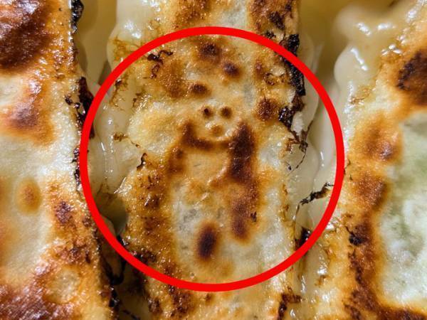 おいしそうな餃子、よく見ると？　「そうにしか見えない」「マジだ…」