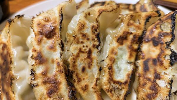 おいしそうな餃子、よく見ると？　「そうにしか見えない」「マジだ…」