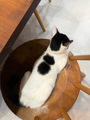 背中にあるのは…？　生後５か月の１枚に「キノコから進化してる」