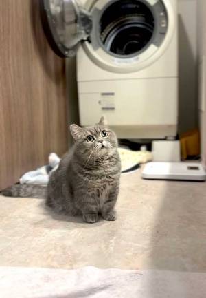 「こんなに激カワな『三角』ある？」　正体が…