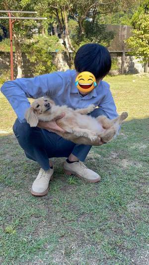 『抱っこされるの下手な犬』　表情に「笑える」「クセになる」